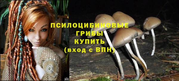 прущий лед Волосово