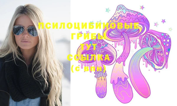 mdpv Михайлов