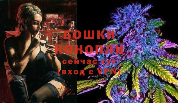 ПСИЛОЦИБИНОВЫЕ ГРИБЫ Михайловск