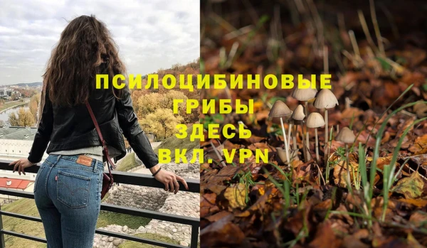 ПСИЛОЦИБИНОВЫЕ ГРИБЫ Михайловск