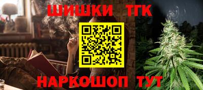 a pvp Гатчина