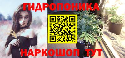 a pvp Гатчина