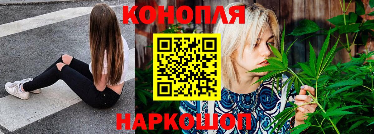 Канабис семена Миллерово